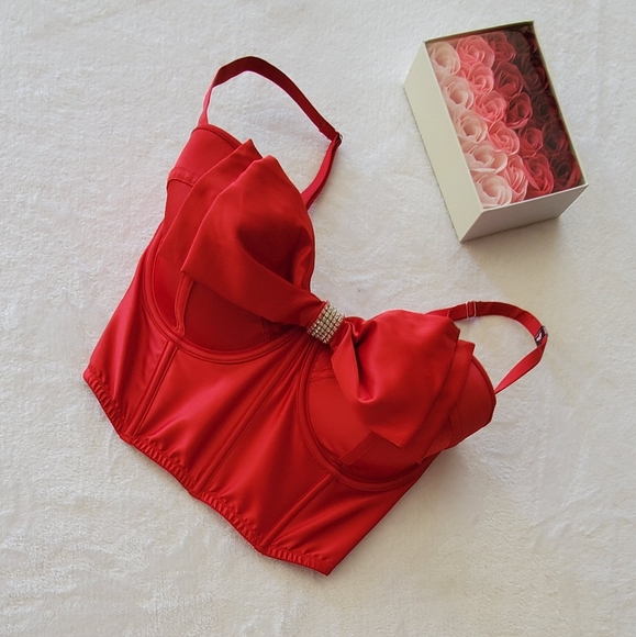 VICTORIA'S SECRET NEW CORSET - Picture 5 of 16